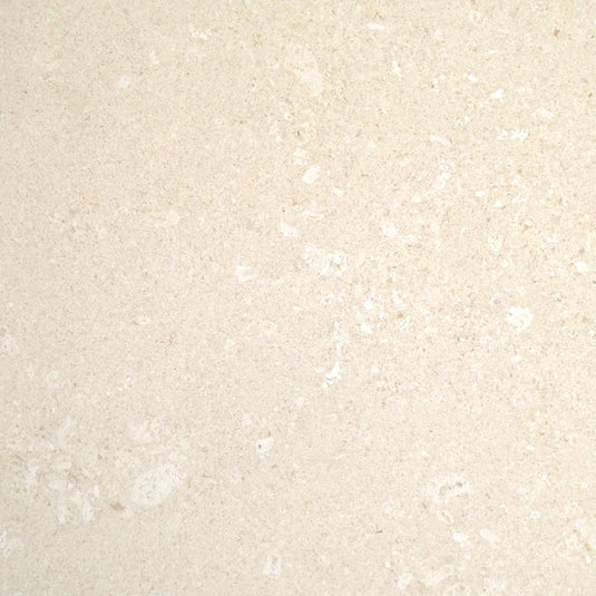bianco avorio levigato