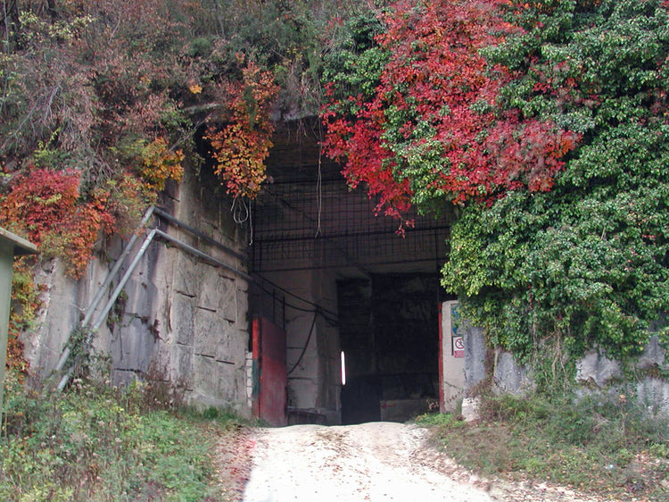 Ingresso_della_cava_Cengio_a_Zovencedo.jpg